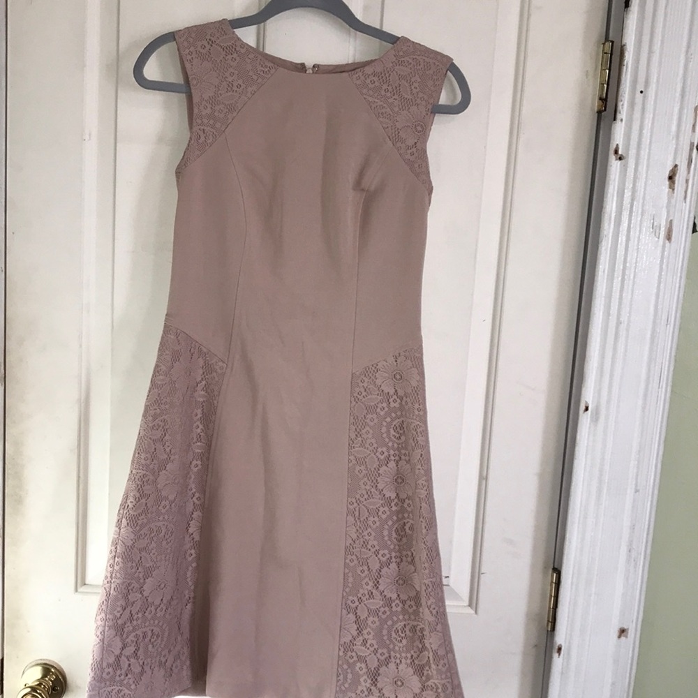 Adrianna Papell Blush Lace Dress